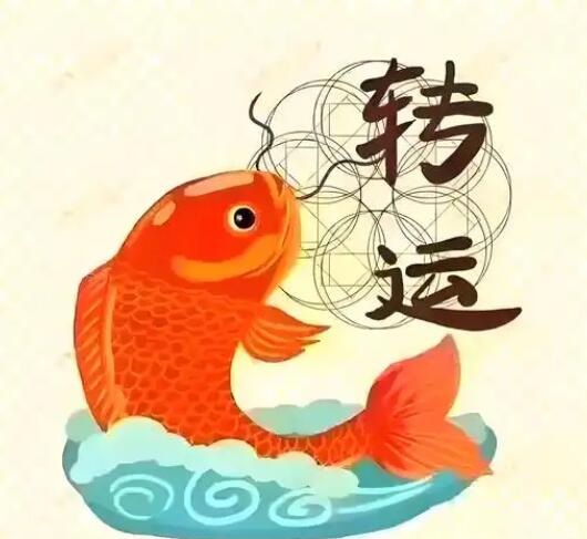 1783667545965956.jpg QQ截图20260710151217.jpg