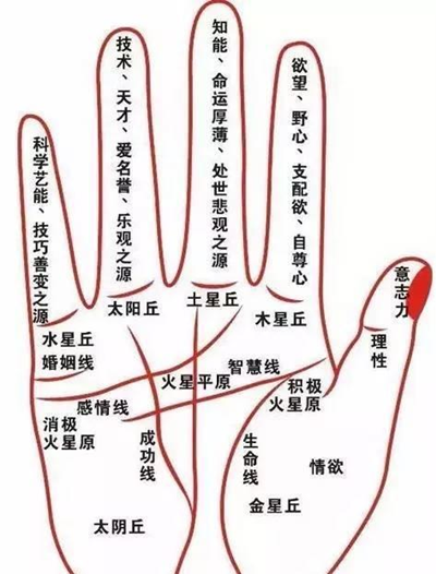 1680182324234877.png 1680168913102723_副本.png