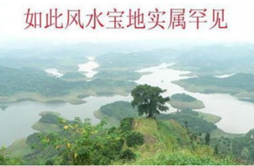 QQ截图20240912145426.png