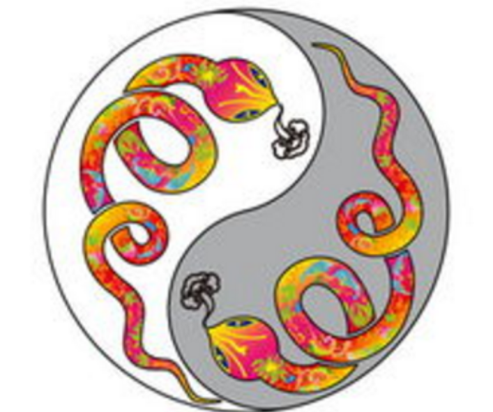 QQ截图20250314101926.png