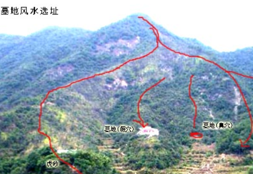QQ截图20250702083207.png