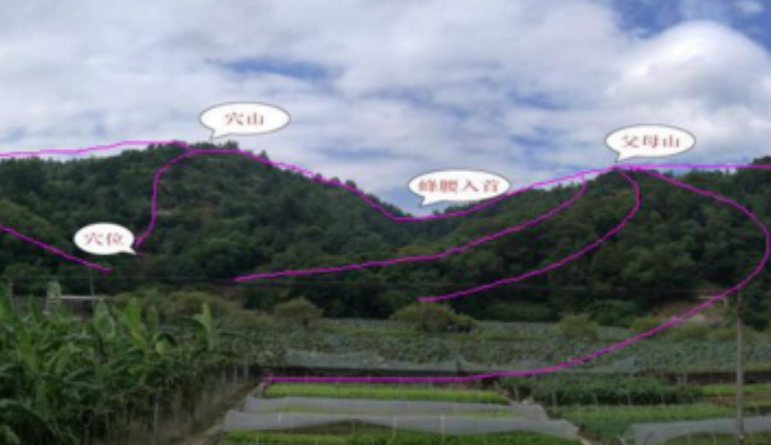 QQ截图20250704084322.png
