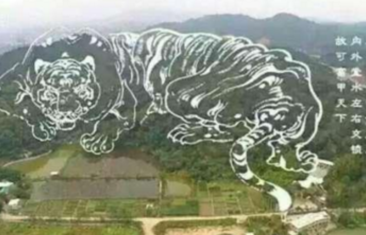 QQ截图20250718085541.png