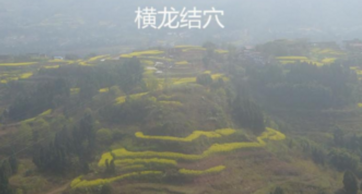 QQ截图20251017085740.png