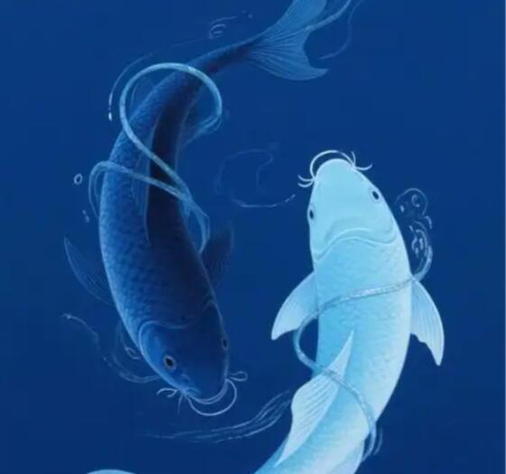 1767575011281127.jpg QQ截图20260105090322.jpg