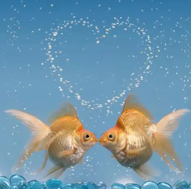 1769217798562200.png QQ截图20260124092309.png