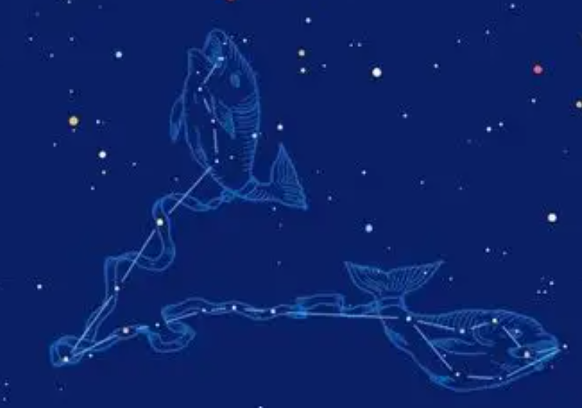 1769474819381201.png QQ截图20260127084647.png