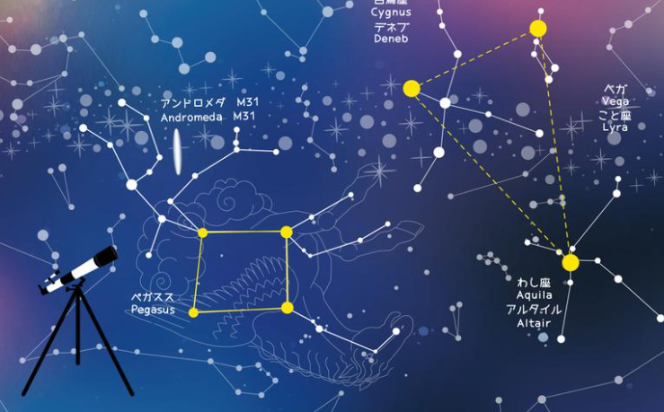 1773017882472339.png QQ截图20260309085748.png