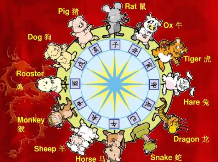 QQ截图20260605163751.png