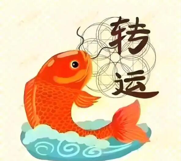 1784184571535136.jpg QQ截图20260716144922.jpg