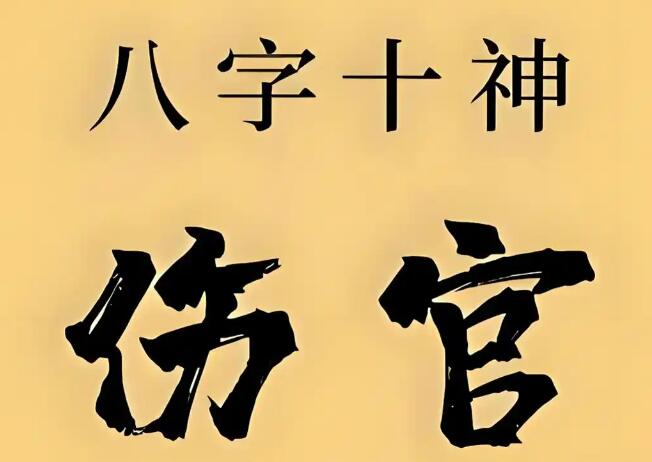 1784270348480172.jpg QQ截图20260717143859.jpg