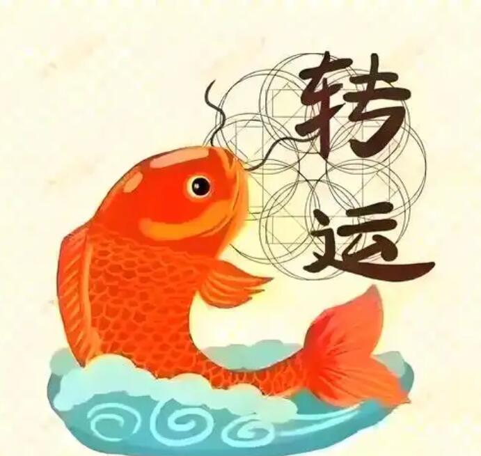 1784596125798119.jpg QQ截图20260721090834.jpg