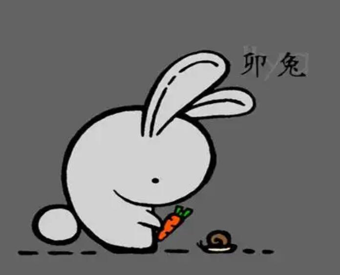 1786323300183926.jpg QQ截图20260810085450.jpg